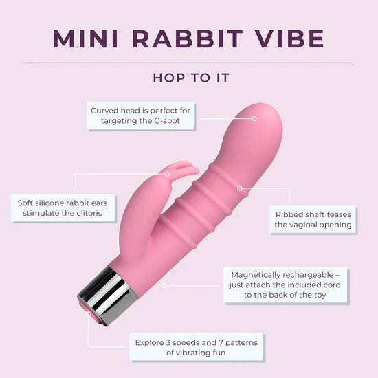 Mini Rabbit Vibe